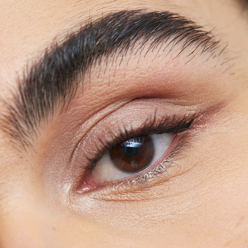 the color palette 500