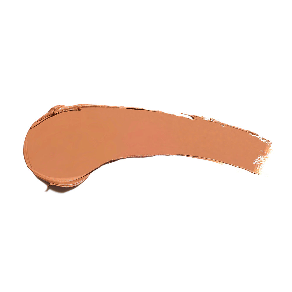 the full concealer 621