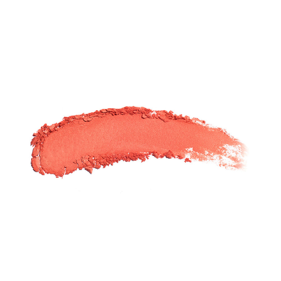 the no-rules powder 210