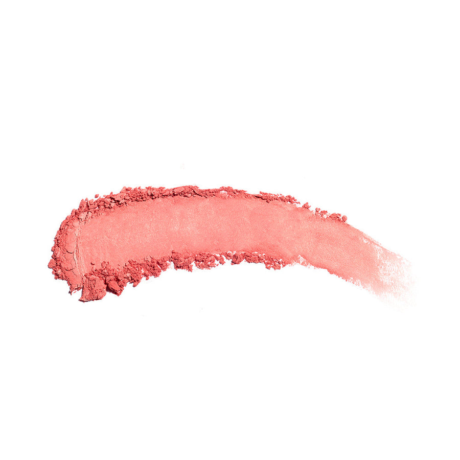 the no-rules powder 348