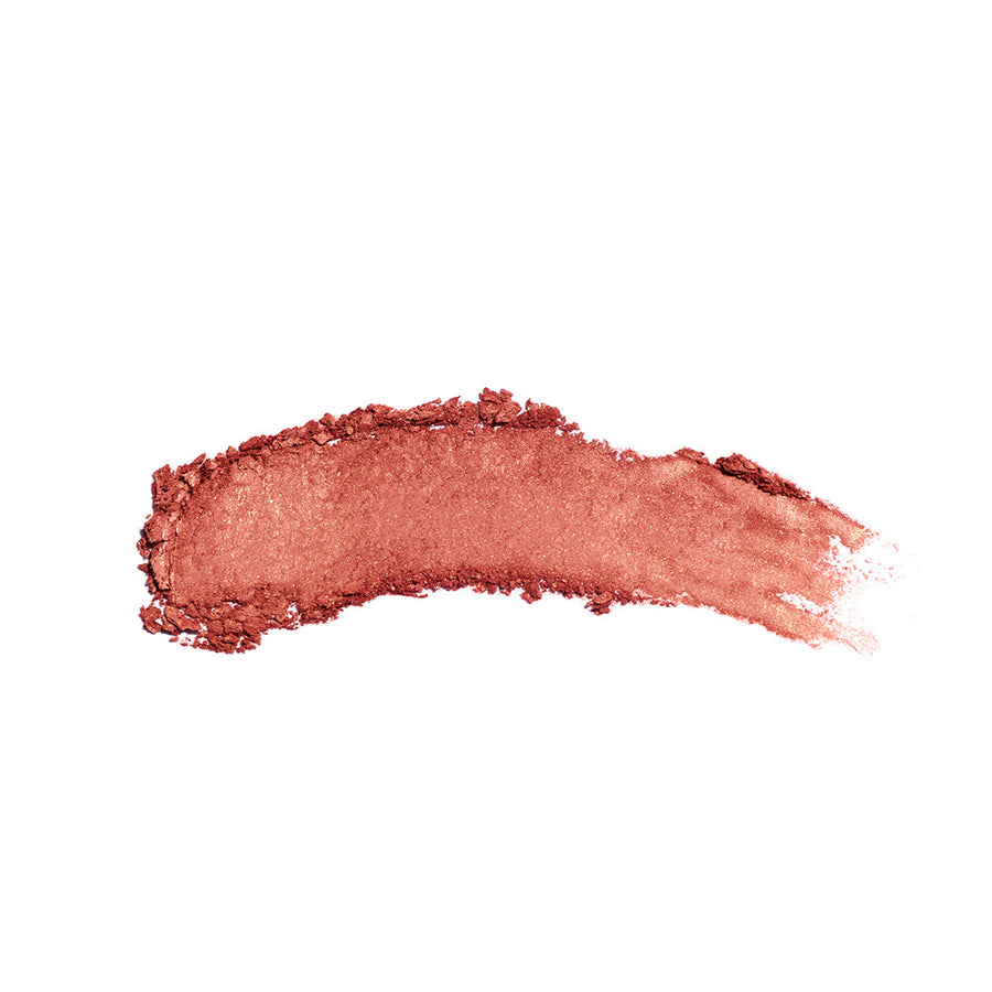 the no-rules powder 504