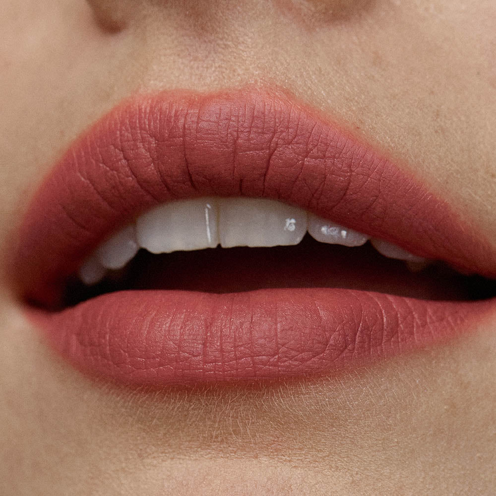 the color lip cloud 261