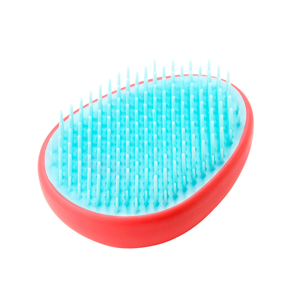 Hairbrush - Gift